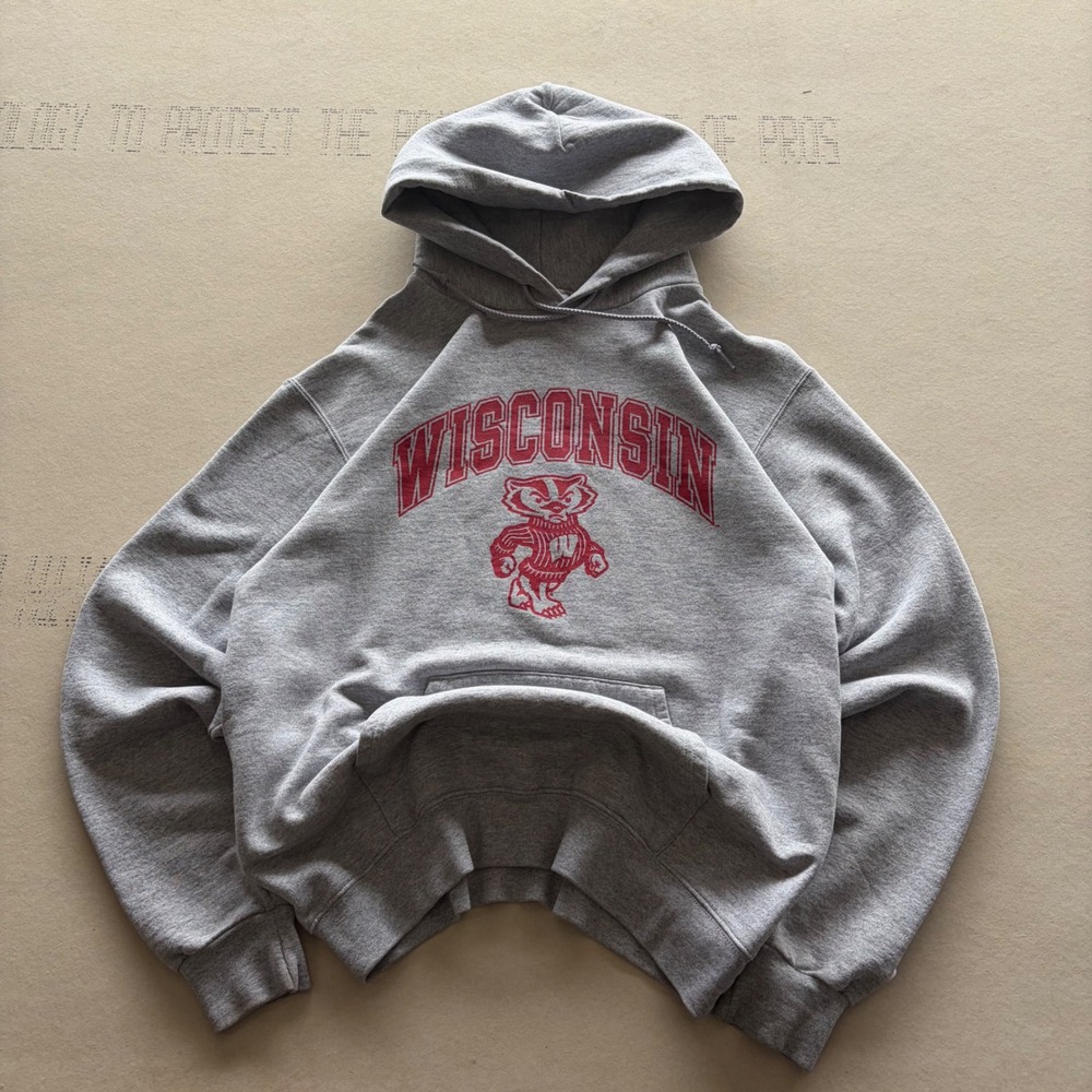 Vintage early 2000s Champion Wisconsin Hoodie